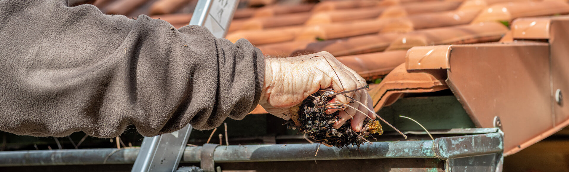 Shingle Roofing